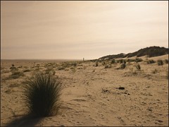 Deserted/ Wüste(n)landschaften