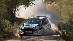 Ford Fiesta R5 Chassis 012 (Active)