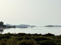 Peyriac-de-Mer, étang du Doul (rando)