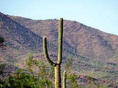 Tucson 2019