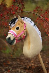 Hobbyhorses by Eponi