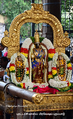 2019 September 18  - Sri Parthasarathy Temple .