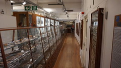 20190905 Petrie Museum of Egyptian Archaeology