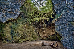 Dames Cave, Withlacoochee State Forest, Trail 22, Brooksville Ridge physiographic region, Citrus County, Florida, USA
