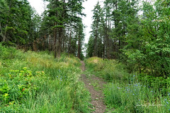 HIking the Trails at Wilden, Kelowna, B.C.