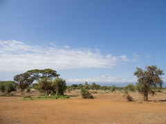 2019 Kenya, camping Kimuni )Amboseli N.P.=