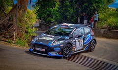 Ford Fiesta R5 Chassis 031 (active)
