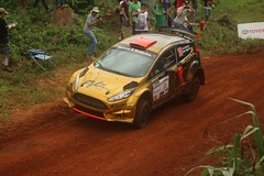 Ford Fiesta R5 Chassis 032 (not active since 2018)