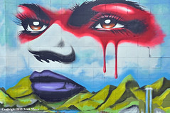 Bronx Murals