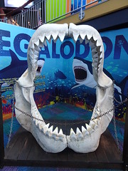 Ripley's Aquarium Of Myrtle Beach 2019 - South, Carolina
