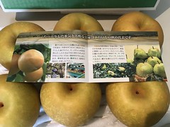 Kousui, Pear from Yamagata @Nara,Sep2019
