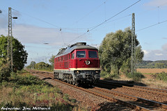 Baureihe 230 - 241 (Ludmilla)