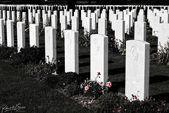 Bayeux War Cemetery Headstones