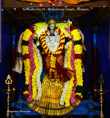 2019 - Navarathri Celebrations .