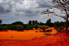 Sand Dunes - Theri Kaadu
