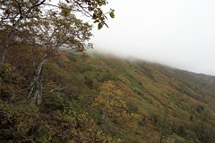 Mount Kuro (Kuro-Dake, 1,984 Metres), Daisetsuzan National Park