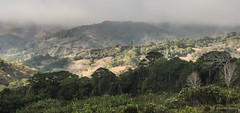 Monteverde Costa Rica 2019