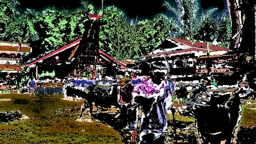 Indonesia – Sulawesi – Tana Toraja – Bori – Funeral Ceremony – Day 4 – 718ee