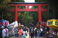 Igusa Hachimangu Reitaisai Festival 2019