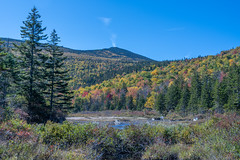 Fall in New Hampshire