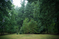 190916 Hoyt Arboretum, Oregon