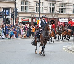 Rehearsals for Trooping The Colour 2018