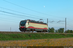 Trenitalia - Locomotive isolate - Locomotive Isolated