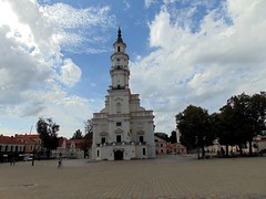 kaunas-un oraș din lituania