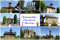 Remarquables Churches in Bucovina