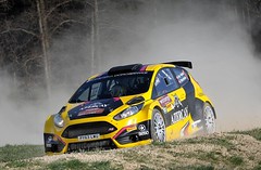 Ford Fiesta R5 Chassis 046 (destroyed)