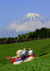 Mount. Fuji