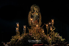 Procesión Virgen del Rosario 2019