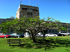 University of Queensland, St Lucia Campus, Brisbane