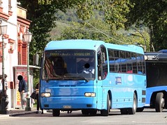COTRAL Roma buses