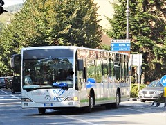 REALI TOURS Alatri (FR) buses