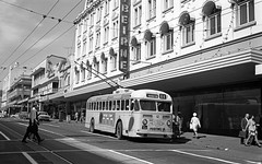 Brisbane Public Transport