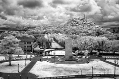 Infrared Panama Canal Zone