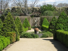The Alowyn Gardens