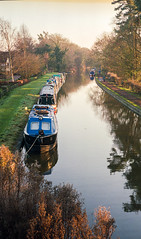 Market Drayton Canal - 28/12/16