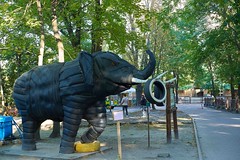 Kiev zoo