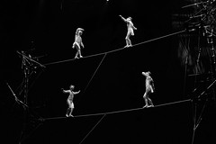 Koozå, Cirque du Soleil