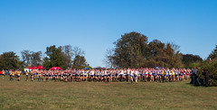 Connecticut College Cross Country Home Meet 2019