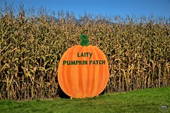 The Laity Pumpkin Patch, Maple Ridge (2019)