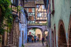 Alsace 2019