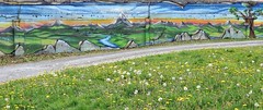 Graffitis + peintures murales