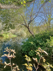 Fishers Green - Lee Valley