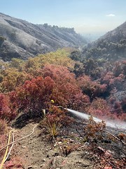 Getty Wildfire Sweeps West from the Sepulveda Pass