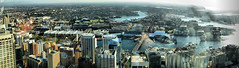 Views from the Sydney Tower Eye