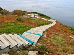 Day 12 of our autumn trip to the Canadian Maritimes -  Driving Chétimap to Ingonish, with many hikes and viewpoint stops along the way