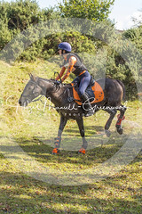 Holwell South Devon Pony Hunter trials Oct 6th 2019